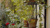 Rio 140/210x85cm Outdoor Tisch ausziehbar